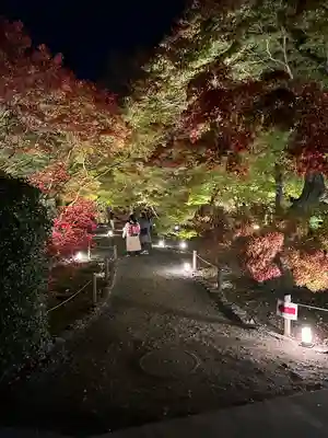 東福禅寺(東福寺)(京都府)