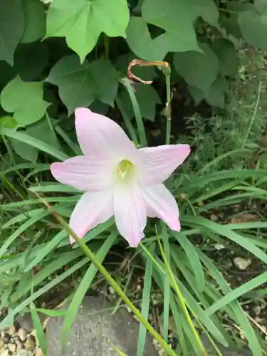 三輪神社の自然