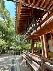 杭全神社(大阪府)