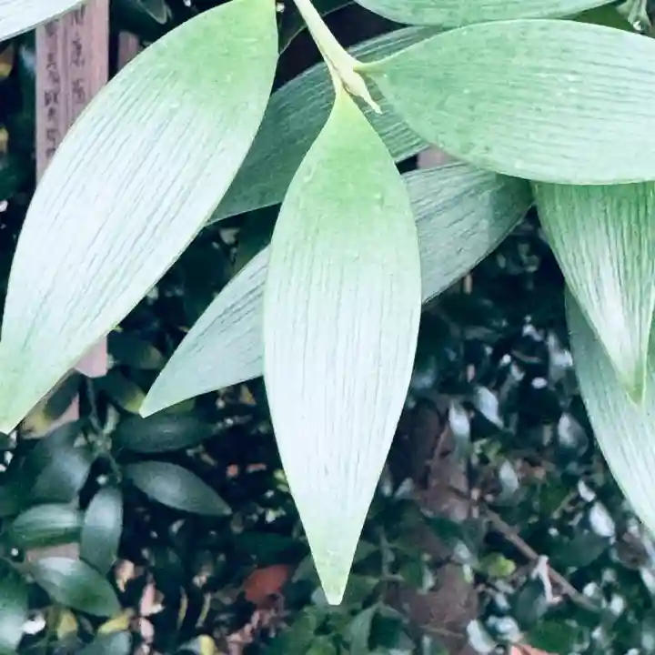 東沼神社(埼玉県)