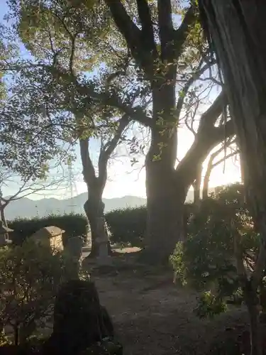 烏杜天神社（楽田天神）の自然