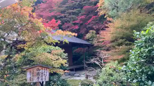 二尊院(京都府)