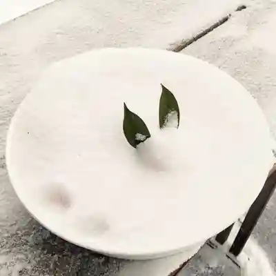 彌彦神社　(伊夜日子神社)の芸術