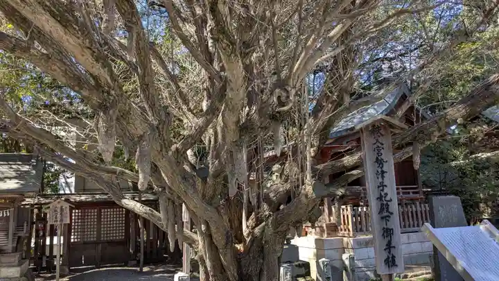 秩父神社の自然