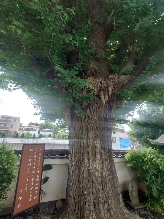 宗仲寺(神奈川県)