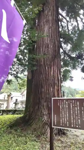 足助八幡宮(愛知県)
