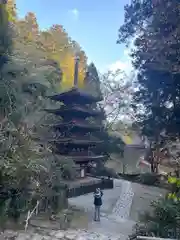室生寺奥の院(奈良県)