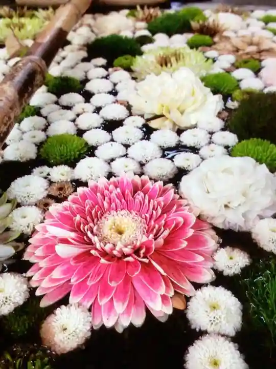 高円寺氷川神社(東京都)