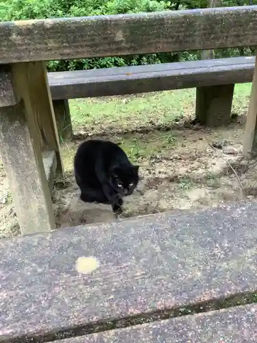 玉野御嶽神社の動物