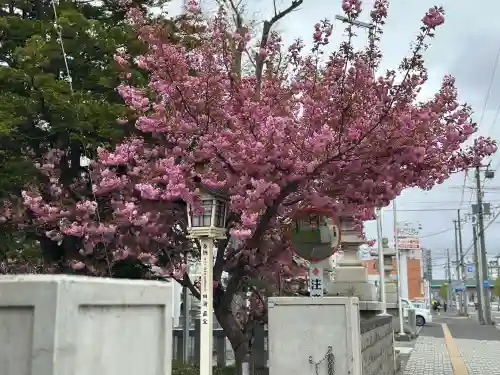 新琴似神社の{uncategorized: "未分類", other: "その他", undefined: "問題あり", building: "その他建物", grave: "お墓", sacred_gate: "鳥居", guardian: "狛犬", statue: "像", buddha: "仏像", history: "歴史", nature: "自然", garden: "庭園", animal: "動物", pagoda: "塔", temizu: "手水舎", mountain_gate: "山門・神門", sanctuary: "本殿・本堂", subordinate: "末社・摂社", art: "芸術", scenery: "景色", jizo: "地蔵", ema: "絵馬", goshuin: "御朱印", omikuji: "おみくじ", items: "授与品その他", amulet: "お守り", goshuincho: "御朱印帳", eats: "食事", festival: "お祭り", votive_dance: "神楽", shichigosan: "七五三参", wedding: "結婚式", experience: "体験その他", initially: "初詣", around: "周辺", anti_infection: "感染症対策"}