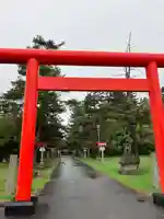 雨龍神社の鳥居