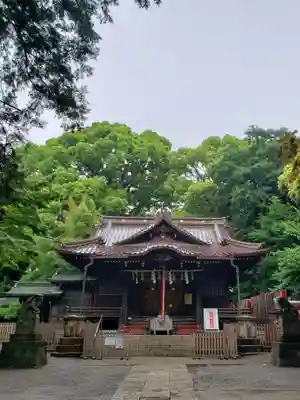 代々木八幡宮の本殿・本堂