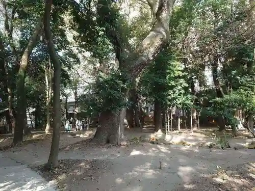 生田神社(兵庫県)