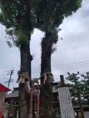 天之御中主神社(鹿児島県)