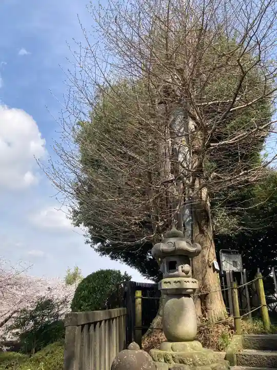 浄見寺(神奈川県)