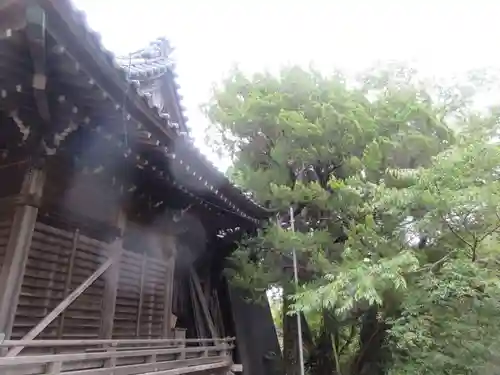 蛭子神社の本殿・本堂