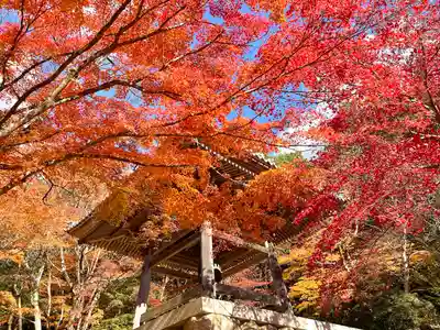 東光寺(滋賀県)