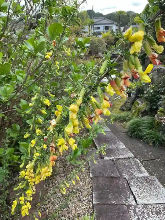 恵利寺の庭園