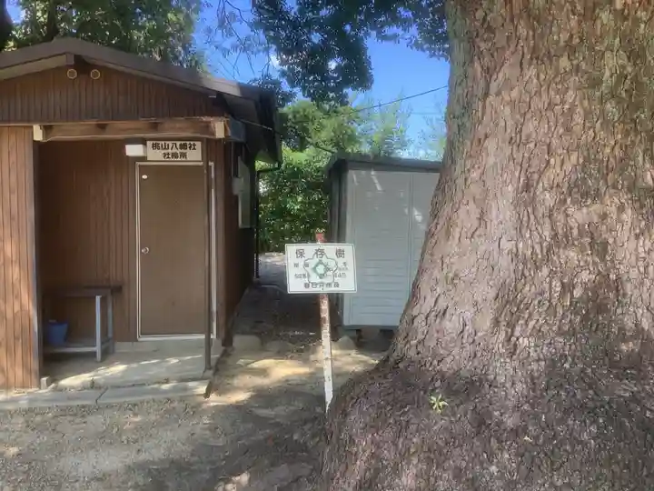 桃山八幡社の自然