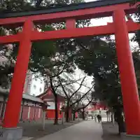 花園神社の鳥居