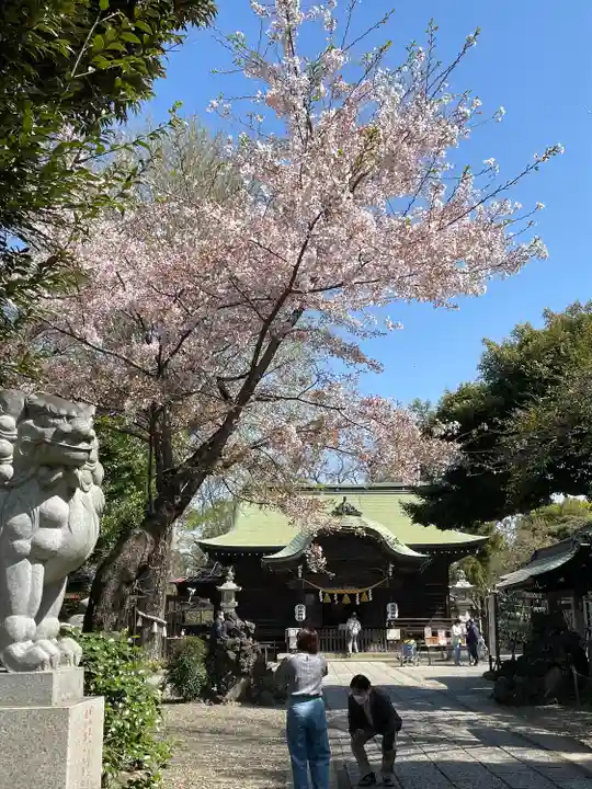 菊田神社のその他建物