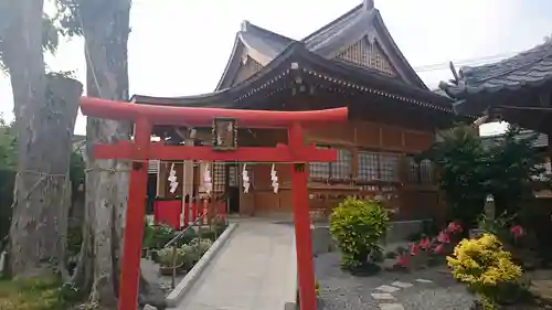 於菊稲荷神社の鳥居