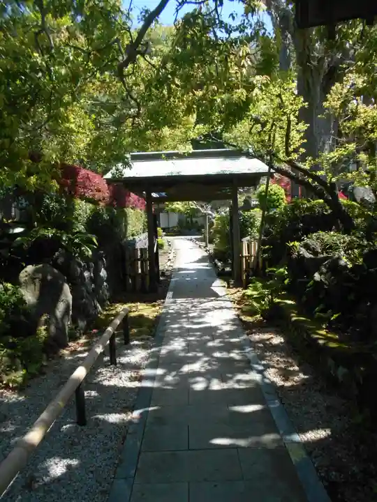 本蓮寺の山門・神門