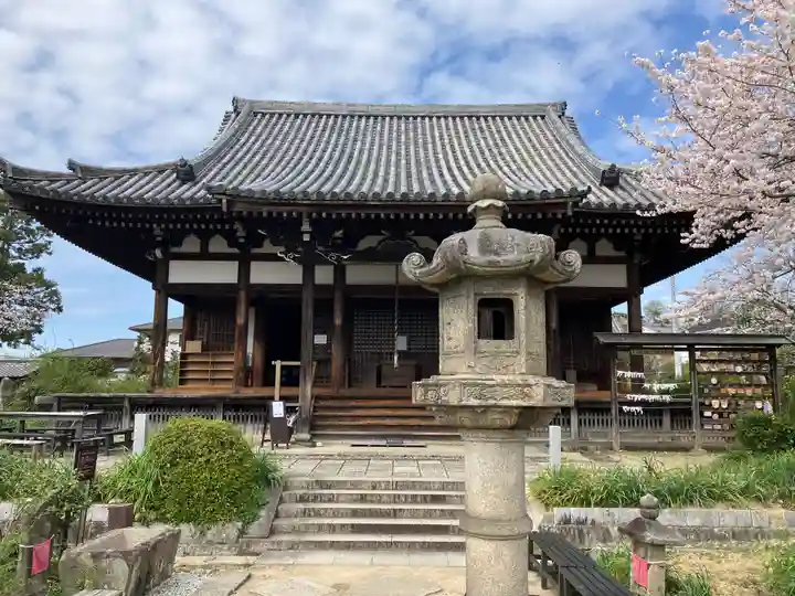 般若寺 ❁コスモス寺❁(奈良県)