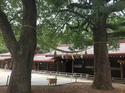 明治神宮(東京都)