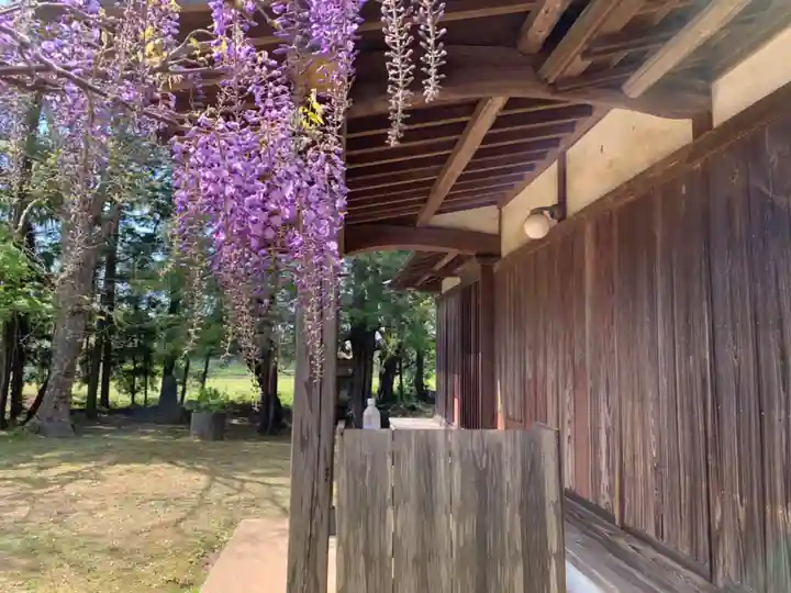 西光寺の本殿・本堂