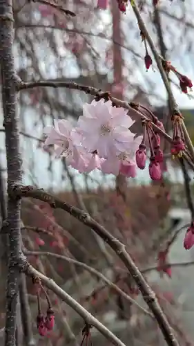 西住院(京都府)