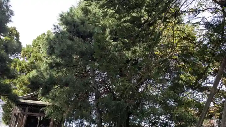 五十橿神社の自然