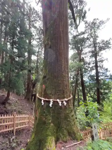 玉置神社(奈良県)