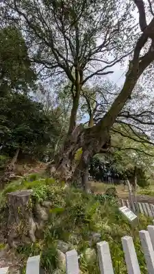 一ノ宮神社の{uncategorized: "未分類", other: "その他", undefined: "問題あり", building: "その他建物", grave: "お墓", sacred_gate: "鳥居", guardian: "狛犬", statue: "像", buddha: "仏像", history: "歴史", nature: "自然", garden: "庭園", animal: "動物", pagoda: "塔", temizu: "手水舎", mountain_gate: "山門・神門", sanctuary: "本殿・本堂", subordinate: "末社・摂社", art: "芸術", scenery: "景色", jizo: "地蔵", ema: "絵馬", goshuin: "御朱印", omikuji: "おみくじ", items: "授与品その他", amulet: "お守り", goshuincho: "御朱印帳", eats: "食事", festival: "お祭り", votive_dance: "神楽", shichigosan: "七五三参", wedding: "結婚式", experience: "体験その他", initially: "初詣", around: "周辺", anti_infection: "感染症対策"}