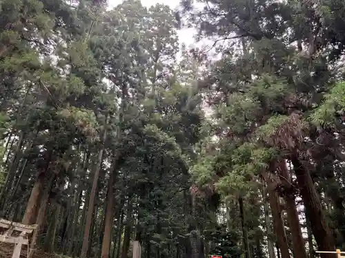 大宮温泉神社(栃木県)