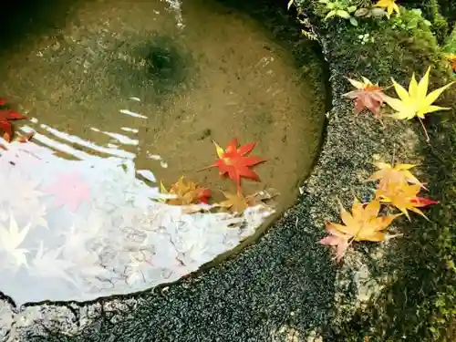 圓教寺の庭園