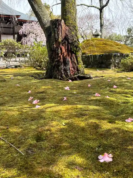 天龍寺(京都府)