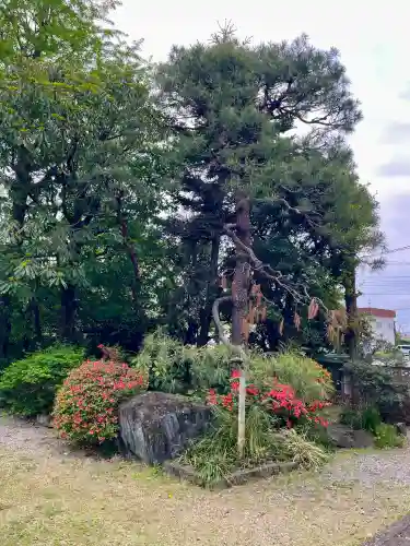 永泉寺の{uncategorized: "未分類", other: "その他", undefined: "問題あり", building: "その他建物", grave: "お墓", sacred_gate: "鳥居", guardian: "狛犬", statue: "像", buddha: "仏像", history: "歴史", nature: "自然", garden: "庭園", animal: "動物", pagoda: "塔", temizu: "手水舎", mountain_gate: "山門・神門", sanctuary: "本殿・本堂", subordinate: "末社・摂社", art: "芸術", scenery: "景色", jizo: "地蔵", ema: "絵馬", goshuin: "御朱印", omikuji: "おみくじ", items: "授与品その他", amulet: "お守り", goshuincho: "御朱印帳", eats: "食事", festival: "お祭り", votive_dance: "神楽", shichigosan: "七五三参", wedding: "結婚式", experience: "体験その他", initially: "初詣", around: "周辺", anti_infection: "感染症対策"}