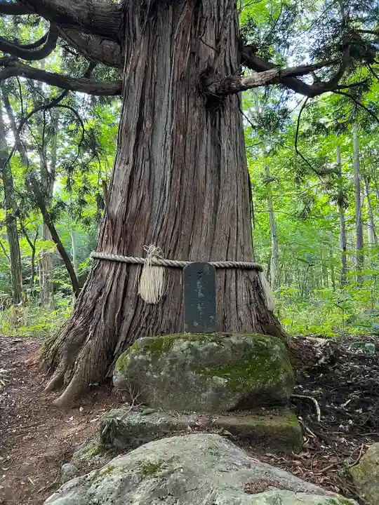 戸隠神社火之御子社(長野県)