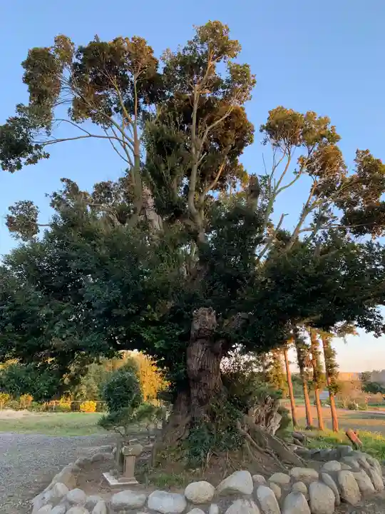 長楽寺のその他建物