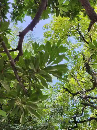 サムハラ神社(大阪府)