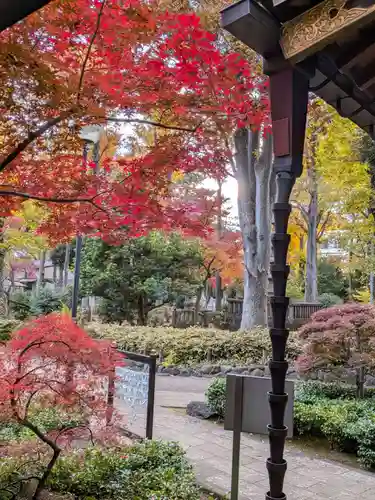 妙法寺(東京都)