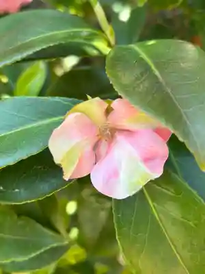 薬師院(兵庫県)