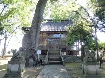 楢本神社の本殿・本堂