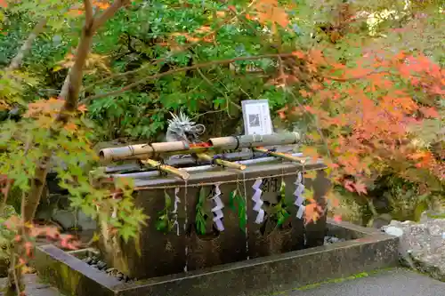 鍬山神社の手水舎