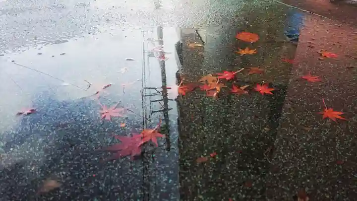 尾張大國霊神社(国府宮)の周辺