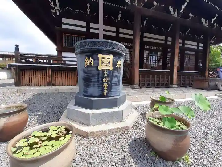 妙覺寺(妙覚寺)(京都府)