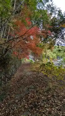 上花山旭稲荷神社(京都府)