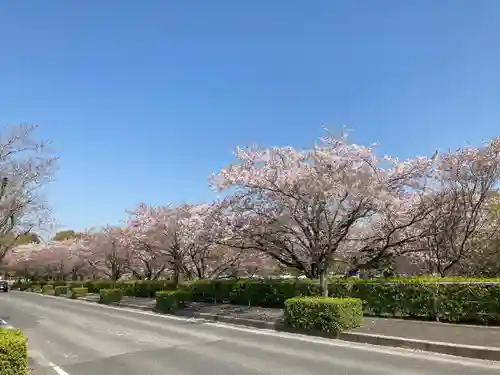 尾曳稲荷神社の自然