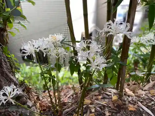 普門院の庭園